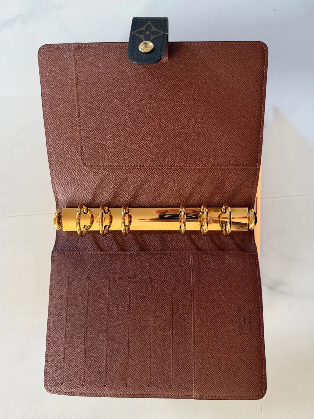 Louis Vuitton authentic louis